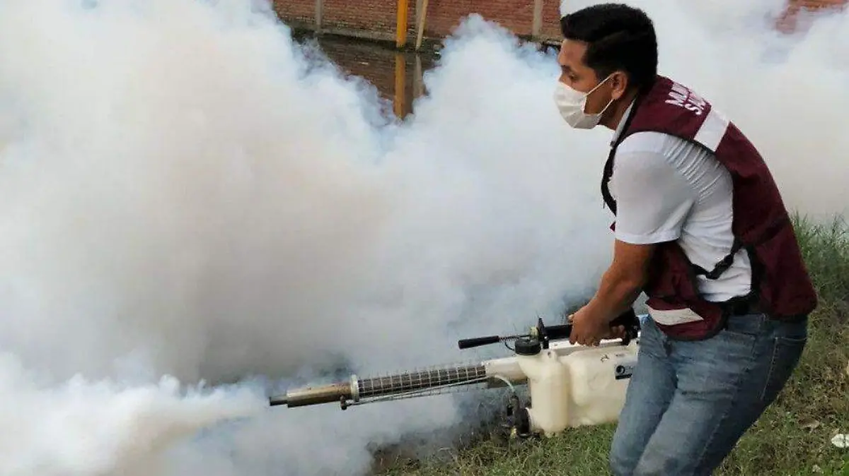 Ciudad Madero contra el dengue